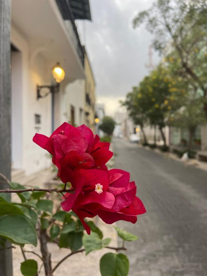 Vbermor Hotel Santo Domingo Eksteriør billede